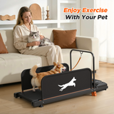 A Corgi on the black Dog Treadmill 2026 Edition for small dogs, with a woman and cat, highlighting "Enjoy Exercise With Your Pet".