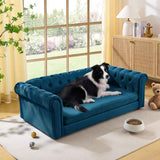 A Border Collie rests on an elegant teal velvet tufted elevated dog bed for big dogs, in a bright room.