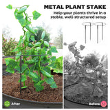 Raised Garden Bed Set - 7' X 3' X 1' with Metal Plant Stakes