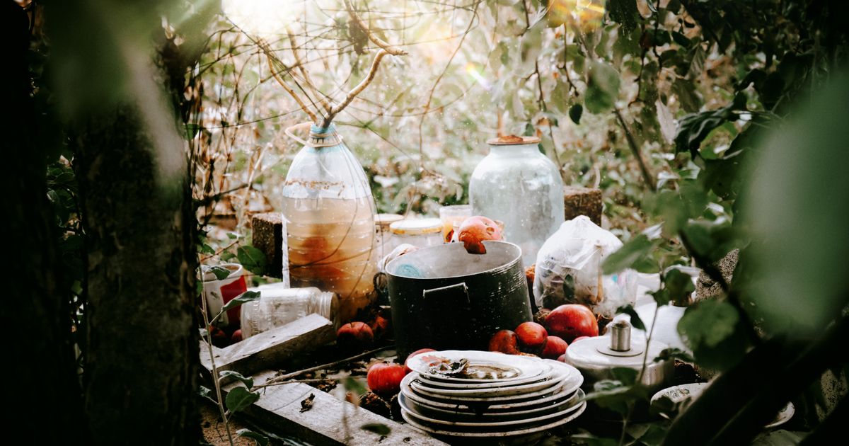 Chaos Gardening: A Beginner's Guide to Wild, Beautiful Planting