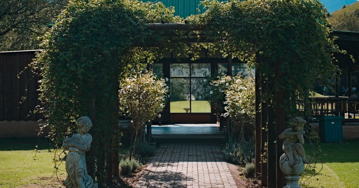 Best Garden Arch 2026: Top 5 Ranked & Compared