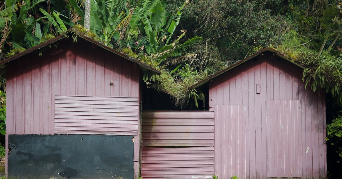 Best Outdoor Sheds 2026: Top 5 Ranked & Compared