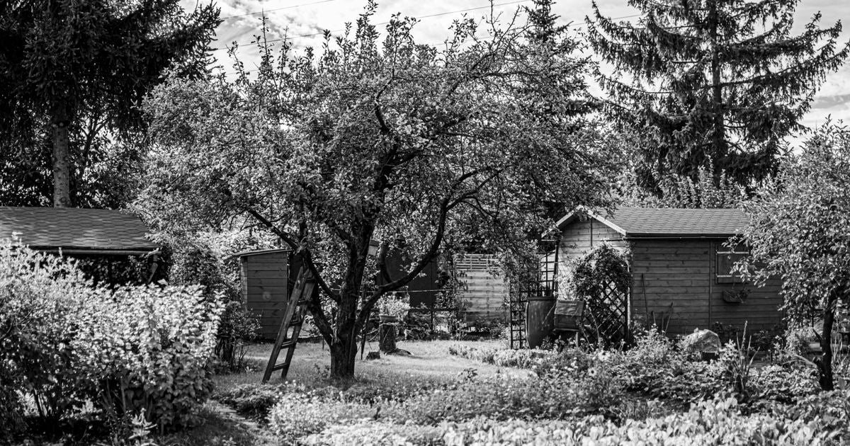 Best Backyard Sheds 2026: Top 5 Storage Solutions Ranked