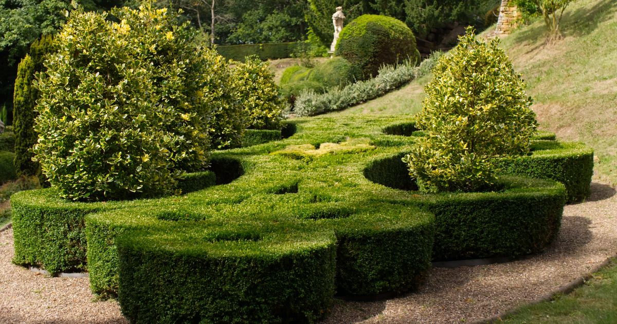 Garden Design: Create Your Perfect Outdoor Layout