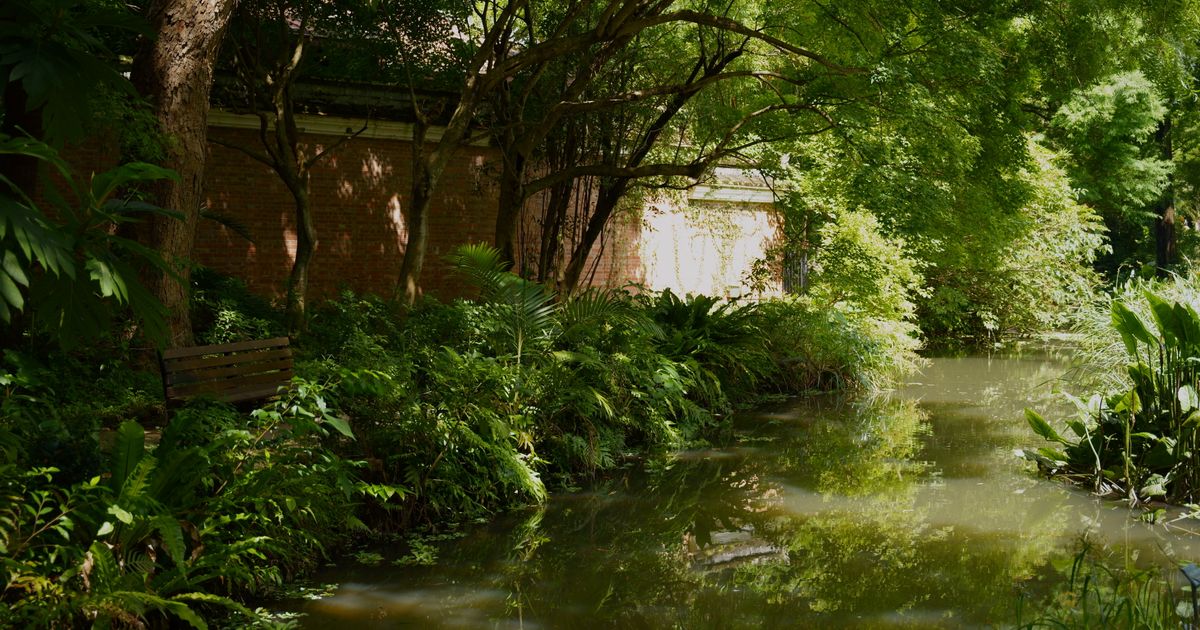 Best Urban Sanctuary Design: Create Your Private Outdoor Retreat