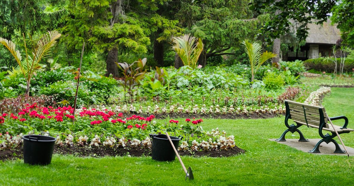 How to Start a Garden: Complete Beginner's Guide
