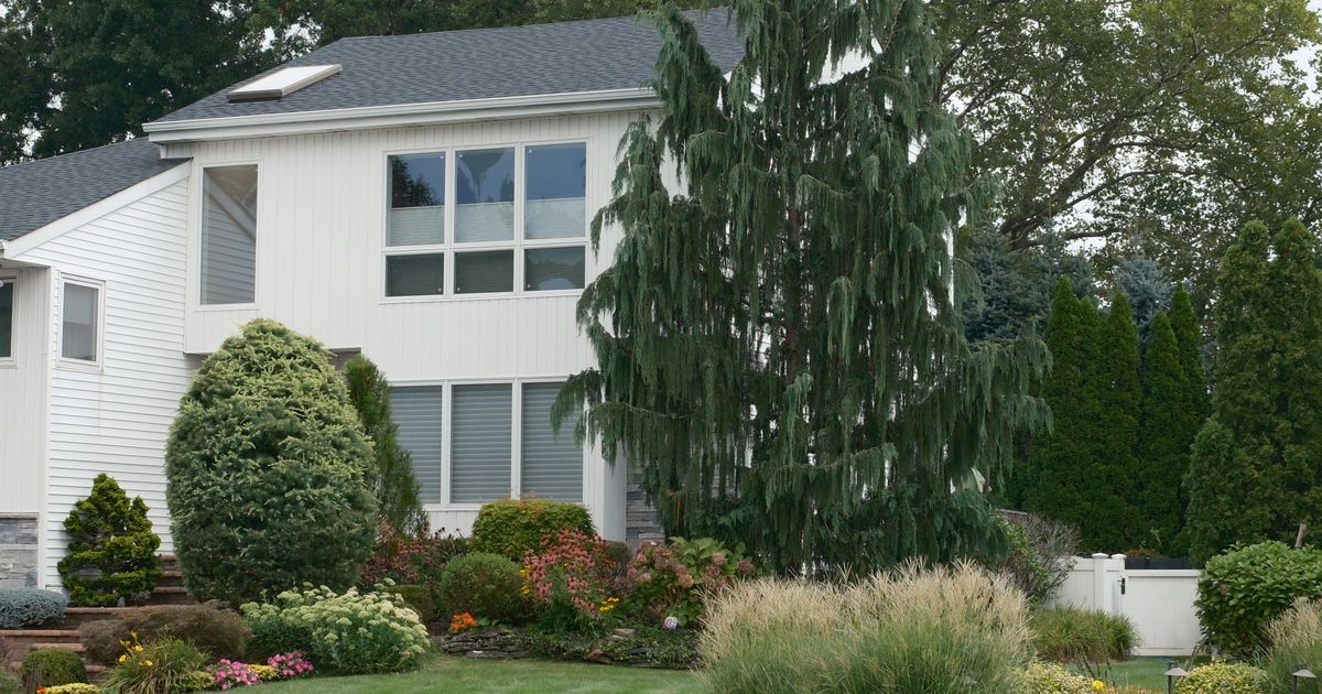 Suburban Lawn and Garden: Transform Your Yard Into a Retreat