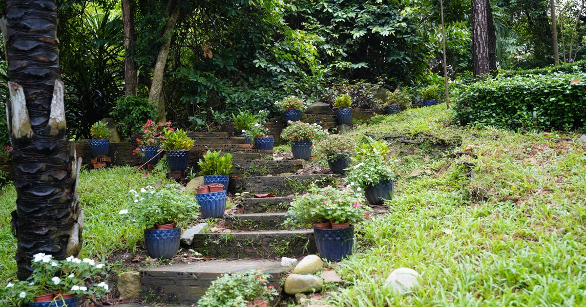50+ Backyard Garden Ideas to Transform Your Outdoor Space