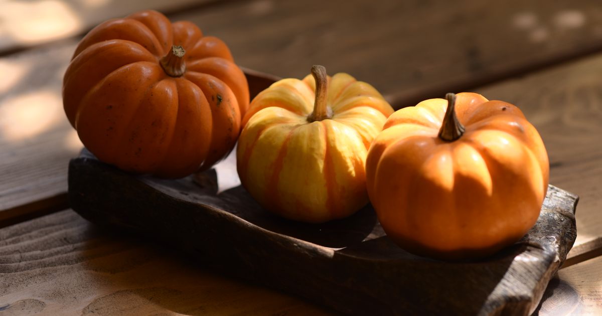 Best Fall Outdoor Decorating Ideas for Your Patio