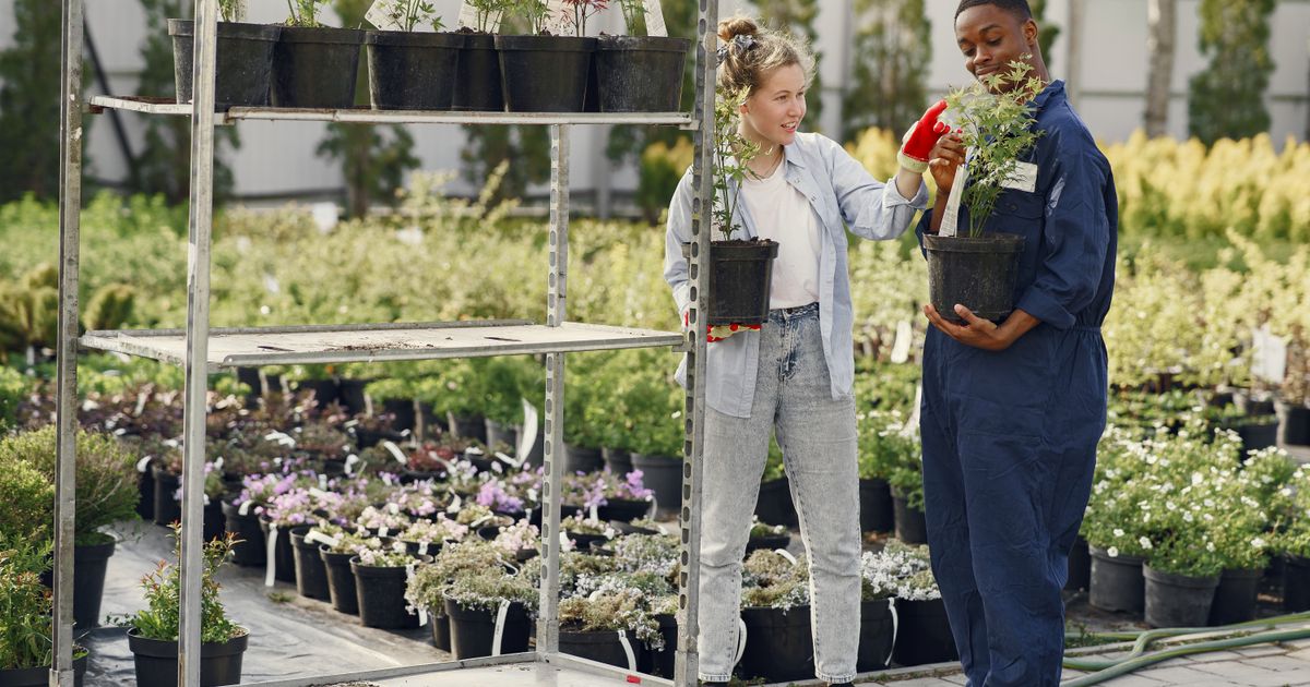 Best Outdoor Plant Stands 2026: Top 5 Ranked & Compared