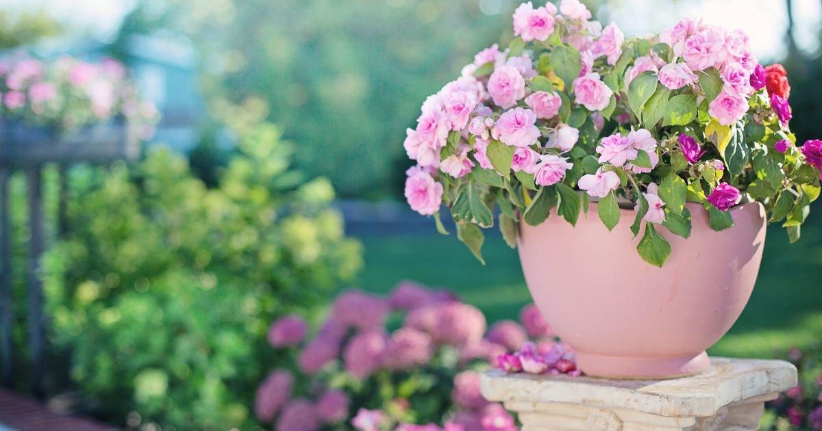 Best Garden Decor 2026: Top 5 Ranked for Outdoor Retreats