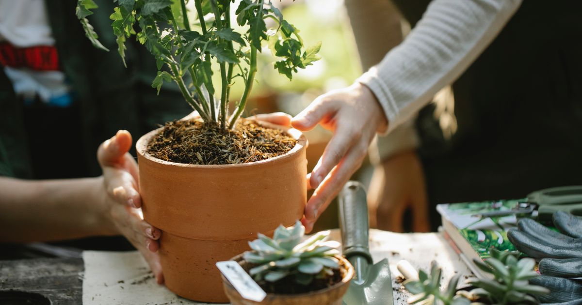 Best Garden & Outdoor Spaces 2026: Top 5 Ranked