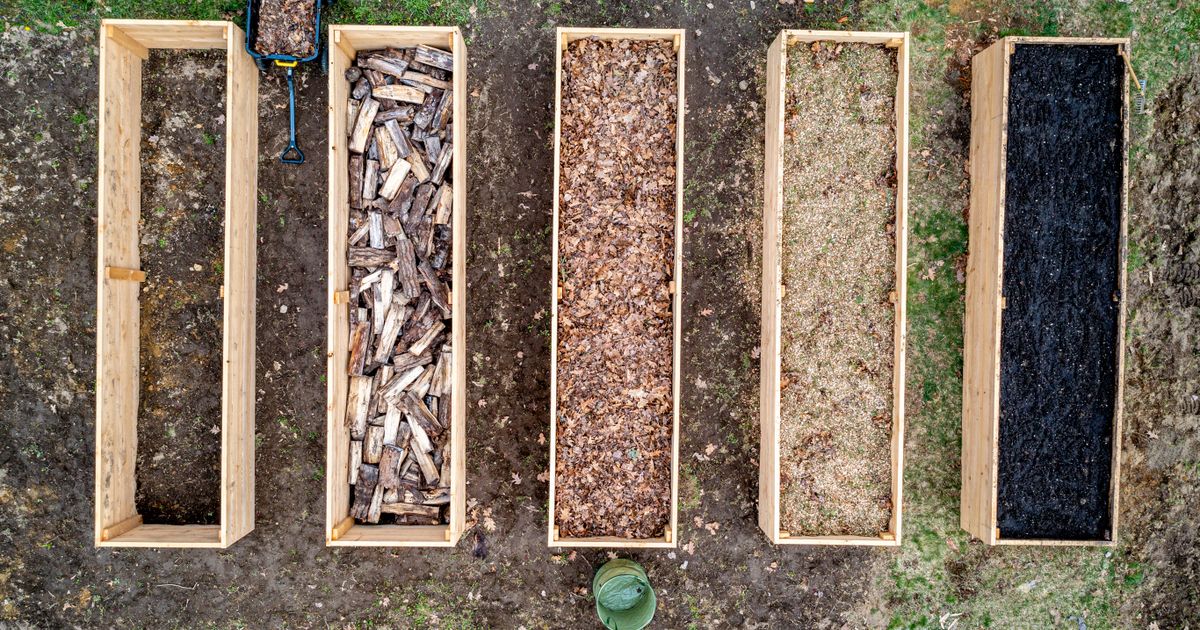 Raised Garden Beds: Complete Growing Guide for Beginners