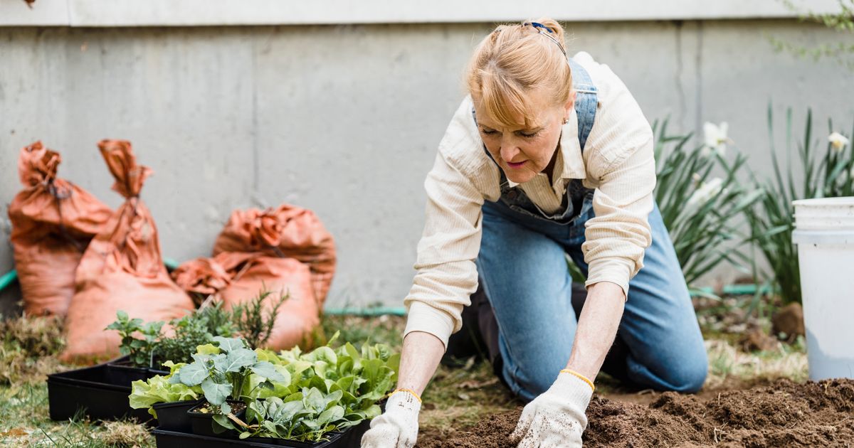 How to Design & Build Your Backyard Garden: Complete Guide