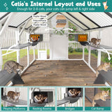 Outdoor Catio: Extra Large Walk-in Cat Enclosure for Multiple Cats
