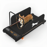 The Small Dog Treadmill 2026 Edition is shown with a corgi walking, featuring a black design, orange accents, and a digital display.