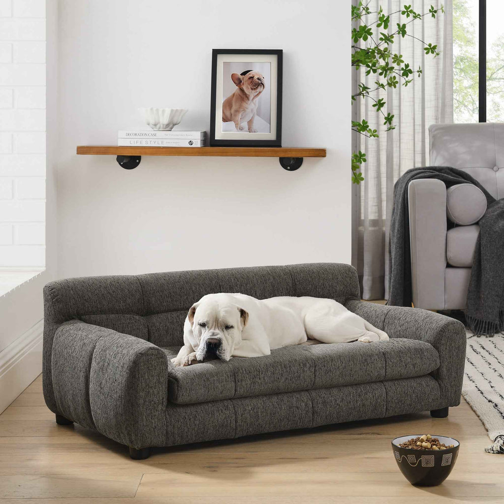 A white dog relaxes on a dark gray, tufted Elegant & Comfortable Large Dog Sofa Bed by NatureScape Living in a cozy room.
