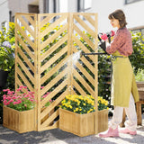 Outdoor Privacy Screen: Freestanding Divider with Planters & Trellis