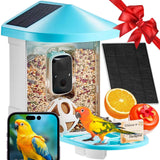 Smart Bird Feeder With Camera - AI Identify 10,000+ Bird Species