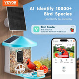 Smart Bird Feeder With Camera - AI Identify 10,000+ Bird Species