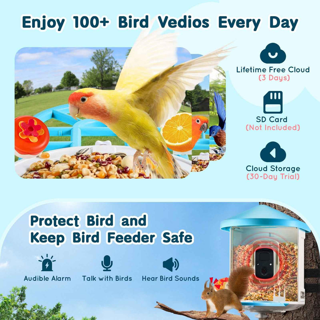 Smart Bird Feeder With Camera - AI Identify 10,000+ Bird Species