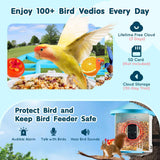 Smart Bird Feeder With Camera - AI Identify 10,000+ Bird Species