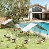 Walk In Chicken Coop - Large Outdoor Pet House for Chickens & Ducks